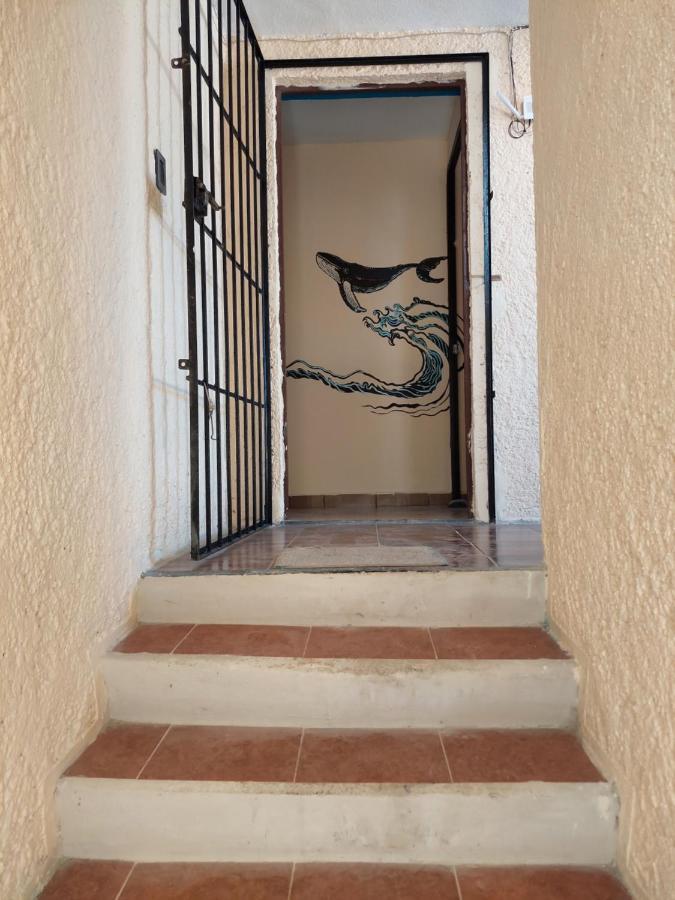Hostel Venado 28 Cancún Exterior foto