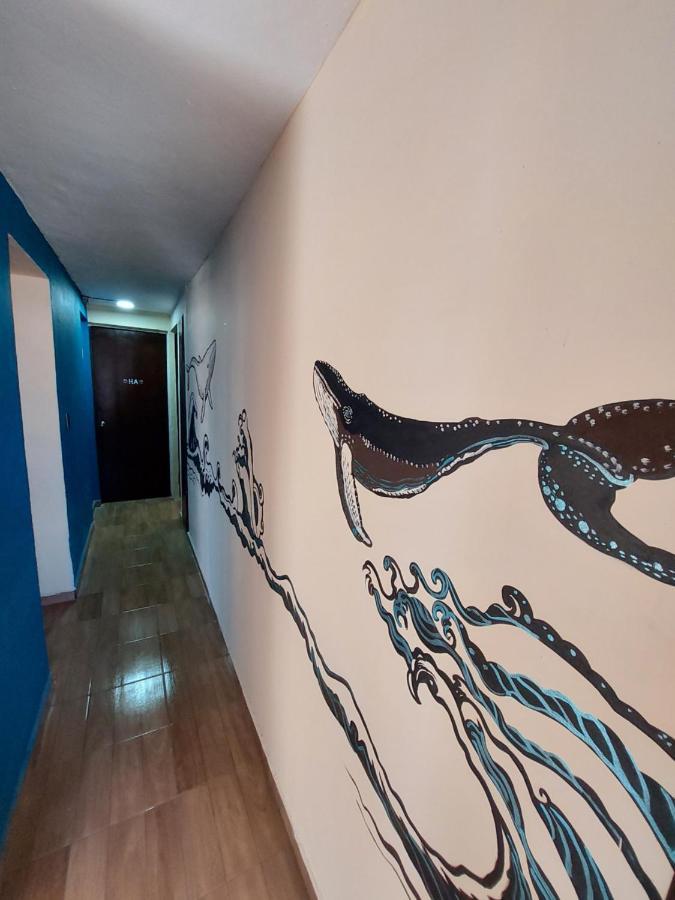 Hostel Venado 28 Cancún Exterior foto
